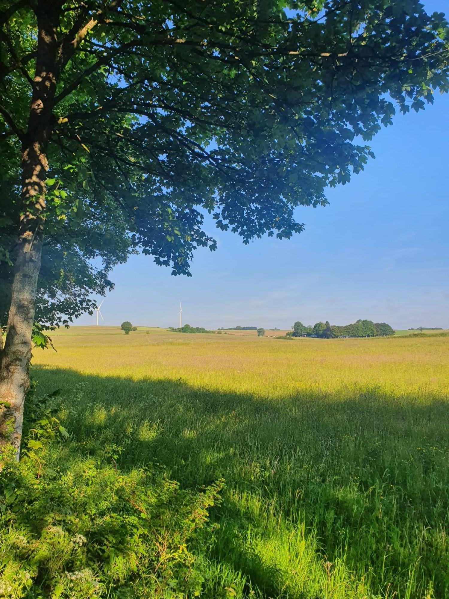 Schöne Aussicht Nettersheim Exterior foto